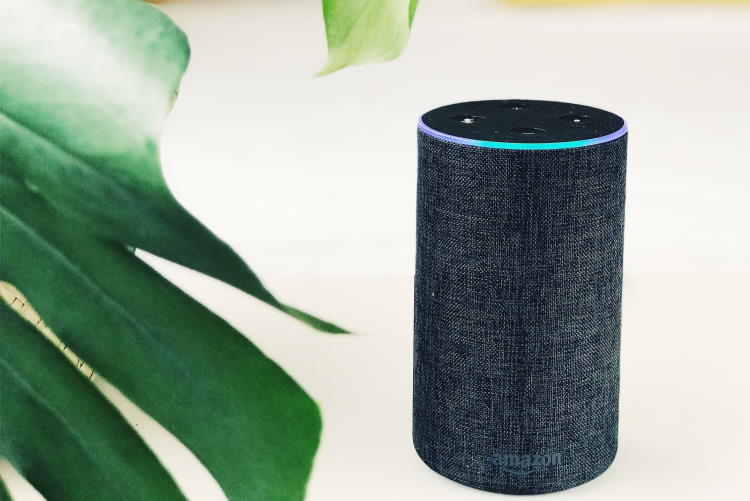 Voice Commerce Alexa Echo