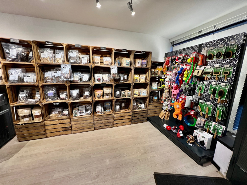 Dogmondo Success Story Store