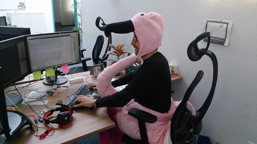 Sebastian Flamingo Kostüm
